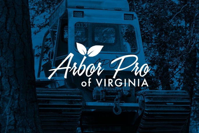 Arbor Pro-CS Image