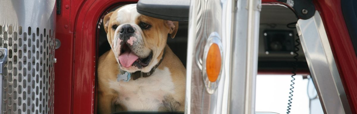 Four Truckers & Their Famous Furry Friends You Need to See