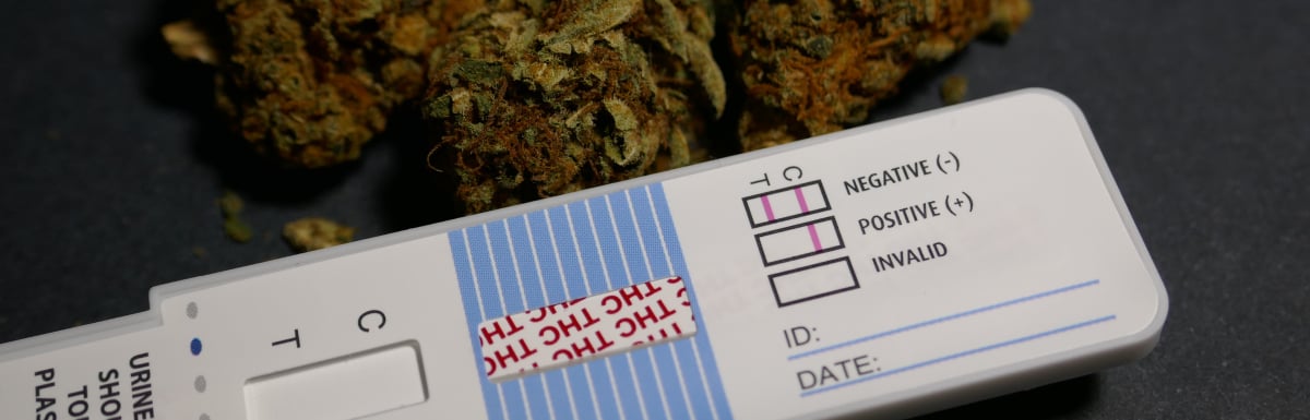 Review of NYS Marijuana Drug Testing Laws