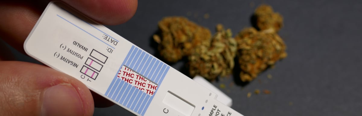 Marijuana & Drug Testing in the Workplace: What Employers Need to Know