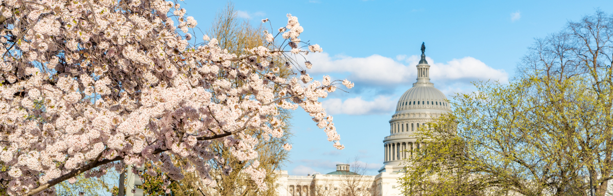 April 2023 Significant Rulemaking Report